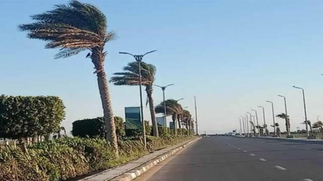 مصر تشهد أجواءً ربيعية حتى نهاية الأسبوع الجاري